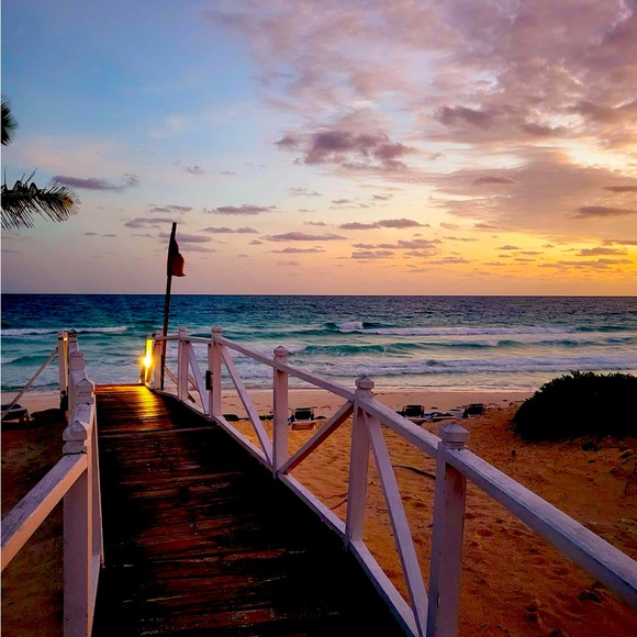 Meet your Posher, Carrie - Picture 1 of 1